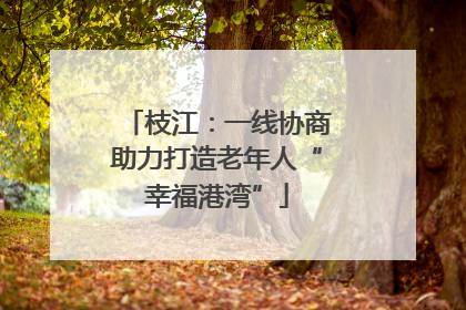 枝江：一线协商助力打造老年人“幸福港湾”