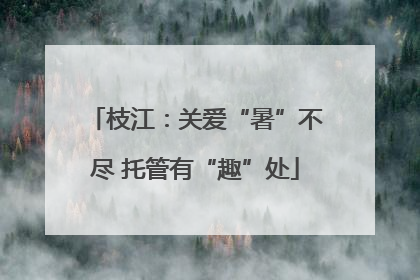 枝江：关爱“暑”不尽 托管有“趣”处