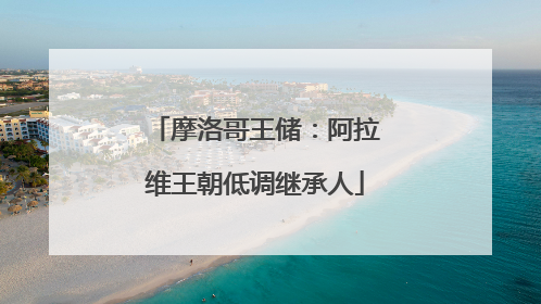 摩洛哥王储：阿拉维王朝低调继承人