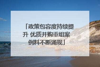 政策包容度持续提升 优质并购重组案例料不断涌现