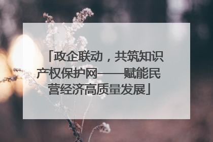 政企联动，共筑知识产权保护网——赋能民营经济高质量发展