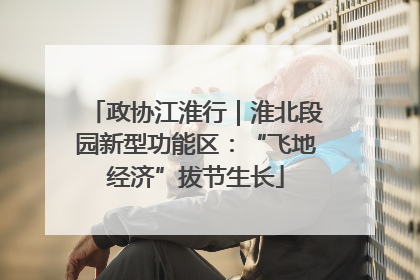 政协江淮行｜淮北段园新型功能区：“飞地经济”拔节生长