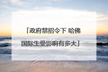 政府禁招令下 哈佛国际生受影响有多大