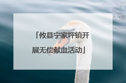 攸县宁家坪镇开展无偿献血活动