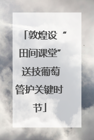 敦煌设“田间课堂” 送技葡萄管护关键时节