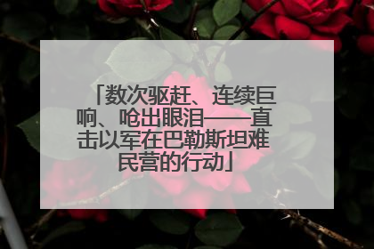 数次驱赶、连续巨响、呛出眼泪——直击以军在巴勒斯坦难民营的行动