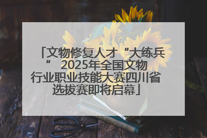 文物修复人才“大练兵” 2025年全国文物行业职业技能大赛四川省选拔赛即将启幕