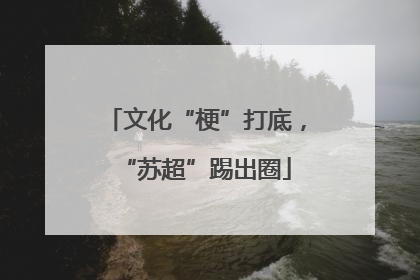 文化“梗”打底，“苏超”踢出圈