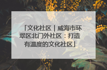 文化社区｜威海市环翠区北门外社区：打造有温度的文化社区