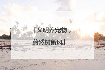 文明养宠物,蔚然树新风