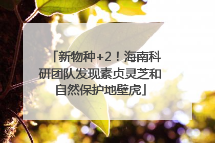 新物种+2！海南科研团队发现素贞灵芝和自然保护地壁虎