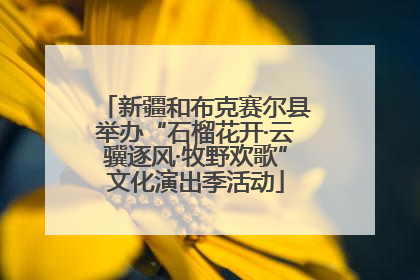新疆和布克赛尔县举办“石榴花开·云骥逐风·牧野欢歌”文化演出季活动