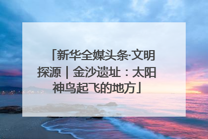 新华全媒头条·文明探源｜金沙遗址：太阳神鸟起飞的地方