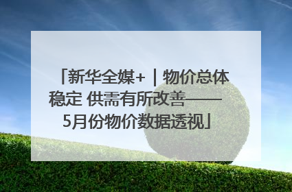 新华全媒+｜物价总体稳定 供需有所改善——5月份物价数据透视