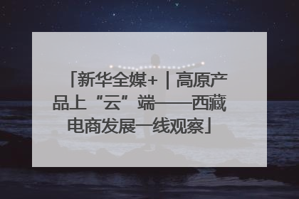 新华全媒+｜高原产品上“云”端——西藏电商发展一线观察