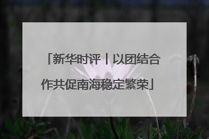 新华时评丨以团结合作共促南海稳定繁荣