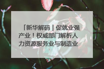 新华解码｜促就业强产业！权威部门解析人力资源服务业与制造业融合发展试点