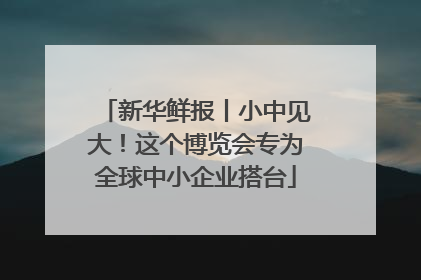 新华鲜报丨小中见大！这个博览会专为全球中小企业搭台
