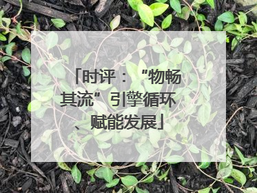 时评：“物畅其流”引擎循环、赋能发展