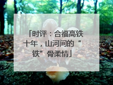 时评：合福高铁十年，山河间的“铁”骨柔情