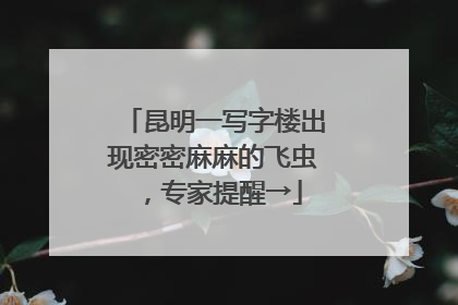 昆明一写字楼出现密密麻麻的飞虫，专家提醒→