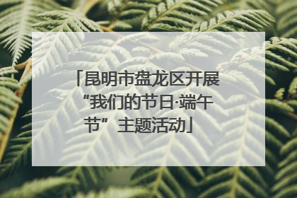 昆明市盘龙区开展“我们的节日·端午节”主题活动