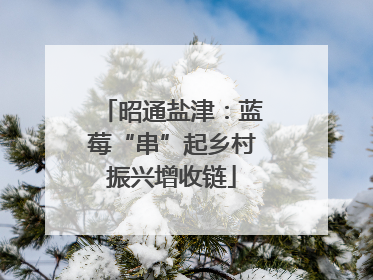 昭通盐津：蓝莓“串”起乡村振兴增收链