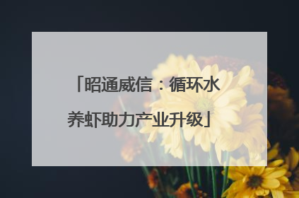 昭通威信：循环水养虾助力产业升级