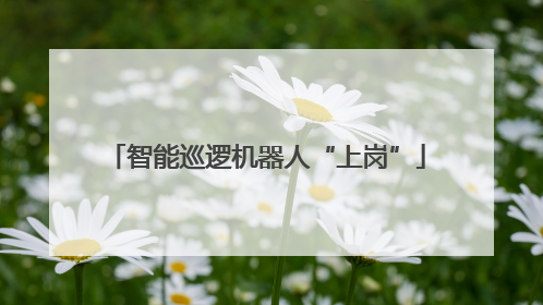 智能巡逻机器人“上岗”