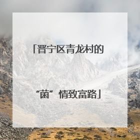 晋宁区青龙村的“菌”情致富路