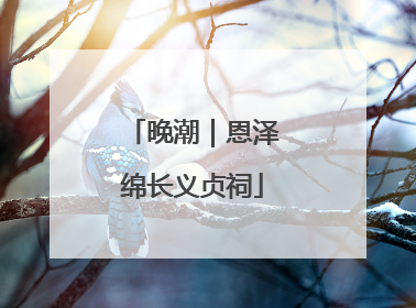 晚潮｜恩泽绵长义贞祠