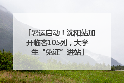 暑运启动！沈阳站加开临客105列，大学生“免证”进站