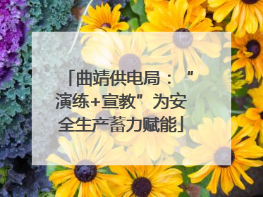 曲靖供电局：“演练+宣教”为安全生产蓄力赋能