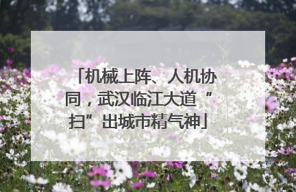 机械上阵、人机协同，武汉临江大道“扫”出城市精气神