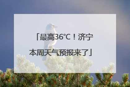 最高36℃！济宁本周天气预报来了
