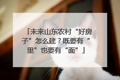 未来山东农村“好房子”怎么建？既要有“里”也要有“面”