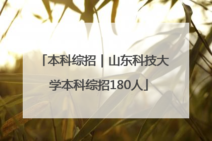 本科综招｜山东科技大学本科综招180人