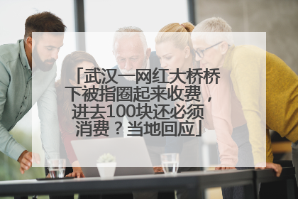 武汉一网红大桥桥下被指圈起来收费，进去100块还必须消费？当地回应