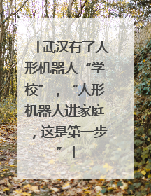 武汉有了人形机器人“学校”，“人形机器人进家庭，这是第一步”
