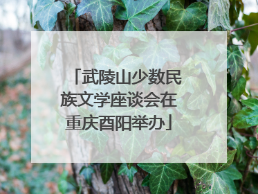 武陵山少数民族文学座谈会在重庆酉阳举办