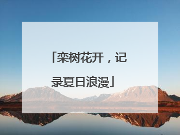 栾树花开，记录夏日浪漫