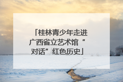 桂林青少年走进广西省立艺术馆“对话”红色历史