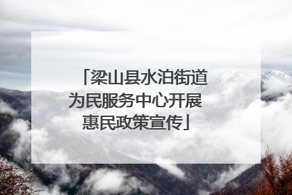 梁山县水泊街道为民服务中心开展惠民政策宣传