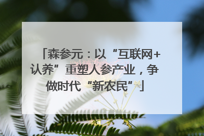 森参元：以“互联网+认养”重塑人参产业，争做时代“新农民”