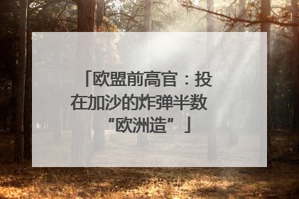 欧盟前高官：投在加沙的炸弹半数“欧洲造”