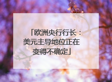 欧洲央行行长：美元主导地位正在变得不确定