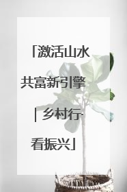 激活山水共富新引擎｜乡村行·看振兴