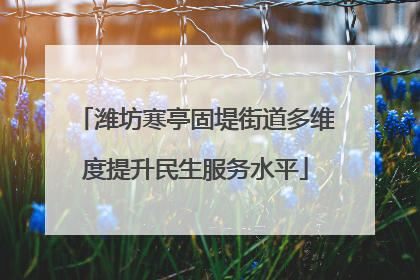 潍坊寒亭固堤街道多维度提升民生服务水平