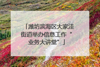 潍坊滨海区大家洼街道举办信息工作“业务大讲堂”