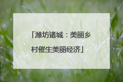 潍坊诸城：美丽乡村催生美丽经济